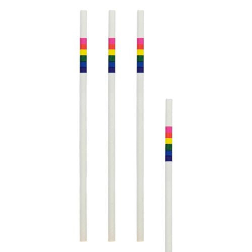 Pailles papier décor arc-en-ciel ø 6 x 200 mm (2400 unités)