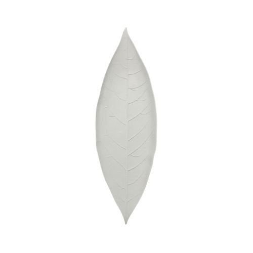 Feuille canne à sucre folia, sans PFAS, 18 x 5,5 cm (600 unités)