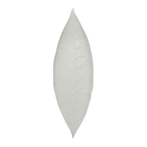Feuille canne à sucre folia, sans PFAS, 22 x 7 cm (300 unités)